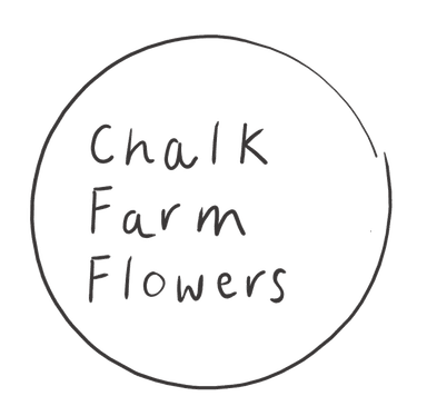store_logo